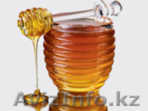 Натуральный кыргызский мёд оптом, с доставкой - Изображение #2, Объявление #347976
