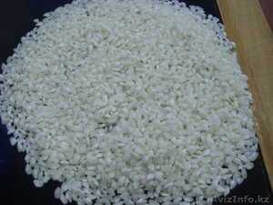 Продам рис Урожай 2013 года в неограниченном кол-ве город Кызылорда 