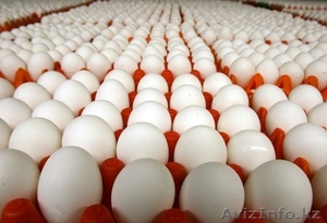 Яйца куриные (Казахстан, Россия) - Изображение #1, Объявление #393527