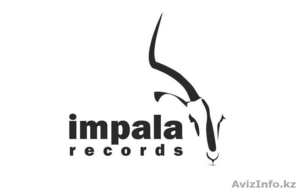 Студия звукозаписи Impala Studio - Изображение #1, Объявление #388186