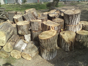 продам дрова 1 маш 15000 тенге - Изображение #1, Объявление #407820