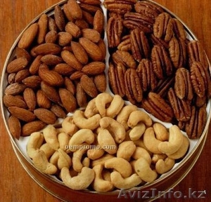 Astana nuts.Co  КОМПАНИЯ