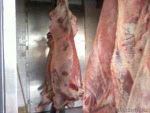 мясо говядины и свинины оптом - Изображение #2, Объявление #515362