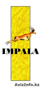 Агенство по переводам "IMPALA" - Изображение #1, Объявление #516570