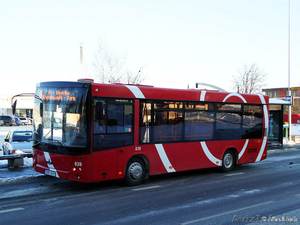 Автобусы на шасси МАЗ - Изображение #4, Объявление #732697