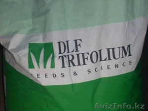 Семена газонных трав DLF-Trifolium - Изображение #1, Объявление #794796