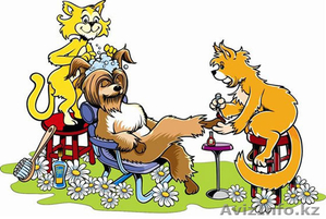 Стрижка собак и кошек - груминг-салон "Master Groom" - Изображение #1, Объявление #811210