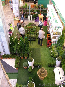Вторая международная выставка «О’зеленение | Greenery’ 2013» - Изображение #1, Объявление #827452