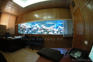 Эксклюзивные аквариумы - Изображение #4, Объявление #816727