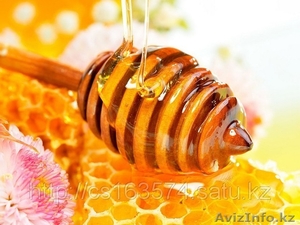Мед пчелиный натуральный. Домашнее ВАРЕНЬЕ - Изображение #2, Объявление #828949