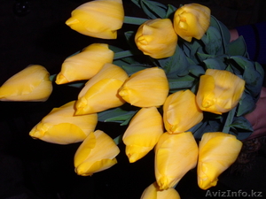 Тюльпаны оптом и в розницу к 8 марта - Изображение #5, Объявление #828308