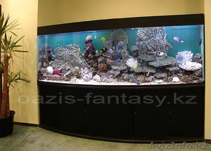 Эксклюзивные аквариумы - Изображение #5, Объявление #816727