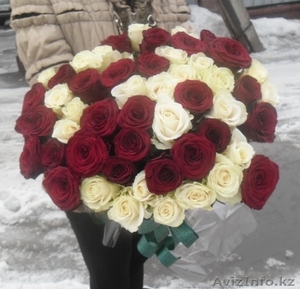 51 роза красно-белый микс - Изображение #1, Объявление #835136