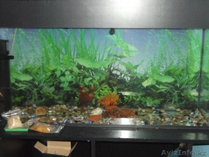 продам аквариум на 160 литров - Изображение #1, Объявление #860155