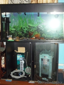 продам аквариум на 160 литров - Изображение #6, Объявление #860155