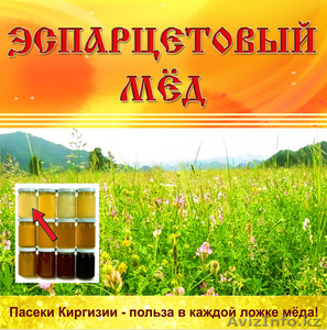 оптом мёд! поставки из Кыргызстана в Казахстан! - Изображение #9, Объявление #875425