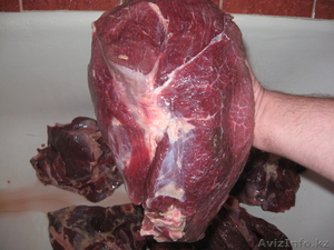 мясо говядина конина блочное оптом - Изображение #4, Объявление #886598