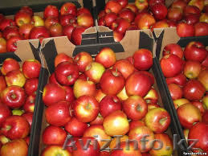 Продажа овощей и фруктов оптом по самым низким ценам!!! - Изображение #1, Объявление #879912