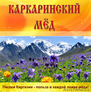 оптом мёд! поставки из Кыргызстана в Казахстан! - Изображение #1, Объявление #875425
