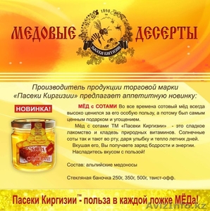 оптом мёд! поставки из Кыргызстана в Казахстан! - Изображение #2, Объявление #875425