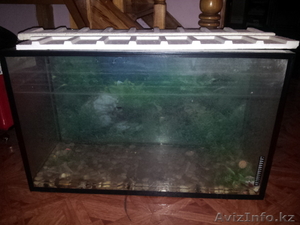 Продам аквариум 360 литров - Изображение #1, Объявление #903291