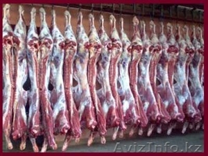 Мясо говядины оптом. Казахстан. - Изображение #1, Объявление #918500