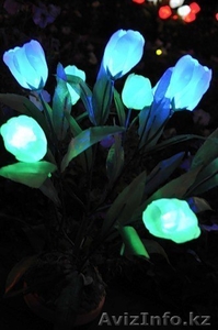 Светящиеся цветы FlowerLANDs в Алматы - Изображение #1, Объявление #932321