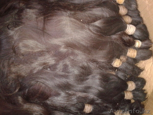Продаю 100% натуральные волосы оптом Азия до 2.5 тонн  - Изображение #1, Объявление #967622
