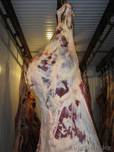 Мясо говядина оптом - Изображение #3, Объявление #956718