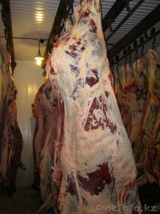 Мясо говядина оптом - Изображение #2, Объявление #956718