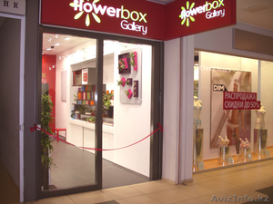 Продам франшизу FlowerBox - Изображение #3, Объявление #953745