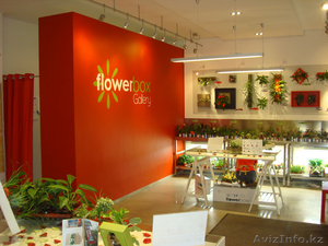 Продам франшизу FlowerBox - Изображение #4, Объявление #953745