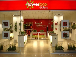 Продам франшизу FlowerBox - Изображение #5, Объявление #953745