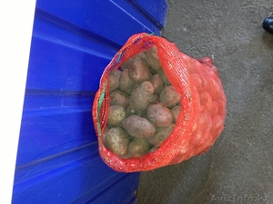 Картофель по 40 тенге