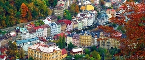 Земельные участки в Чехии продам - Изображение #3, Объявление #806704