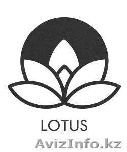 Разработка и продвижение сайта