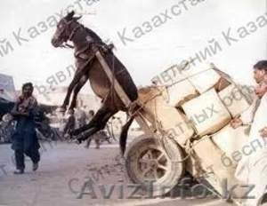 Грузоперевозки,переезды по Алматы и области... - Изображение #5, Объявление #1000097