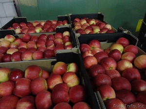 ALda Sp.J A.Leszko, D.Basiak darek@alda93.pl  tel.+48 601 158 947