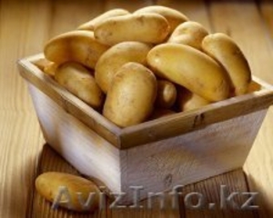 КХ продаст картофель - Изображение #1, Объявление #1037016