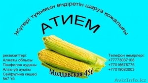 Продажа кукурузы - Изображение #2, Объявление #1035526