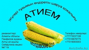 Продажа кукурузы - Изображение #1, Объявление #1035526