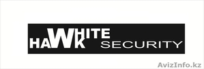 WhiteHawk Security - Изображение #2, Объявление #1039367