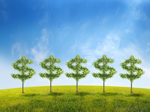 тренинги,  консультации