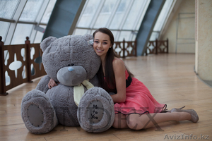 Огромные плюшевые медведи в Алматы! - Изображение #4, Объявление #1086924