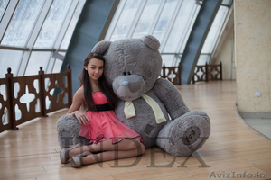Огромные плюшевые медведи в Алматы! - Изображение #5, Объявление #1086924