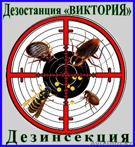 Борьба с насекомыми в помещениях и на участке. Алматы и область. - Изображение #1, Объявление #1095895