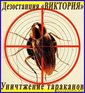 Борьба с тараканами в доме, квартире и других помещениях. Алматы и обл - Изображение #1, Объявление #1095888