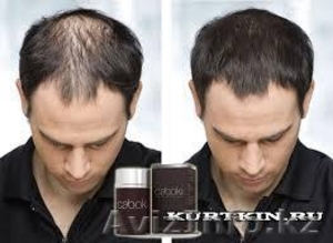 Загустители волос ТОППИК,FIXPLANT,EFFICIENT по самым низким ценам  - Изображение #2, Объявление #1124485