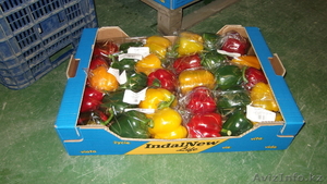 продаю овощи из Испании - Изображение #6, Объявление #1137383