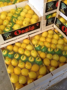 мандарины,апельсины,лимоны из Испании - Изображение #4, Объявление #1129256